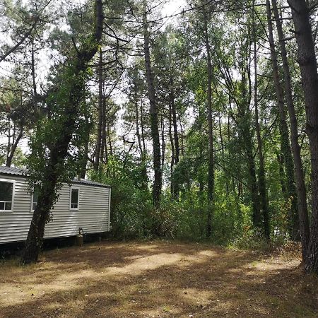 Le Ilo - Camping La Dune Blanche Camiers Eksteriør billede